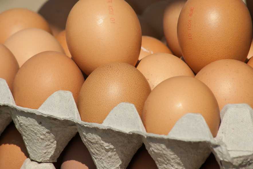 food-market-egg-eggs-hens-animal-source-foods-644143