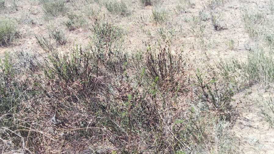 7300b618-c4fc-4bde-b26a-c1a7a30641b0