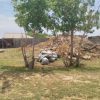 baa7470d-4cfc-4341-bd70-dfc0fd070196