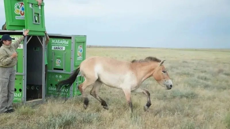 39bb1f9d-3e20-42d3-b64e-209a3ed68bc1