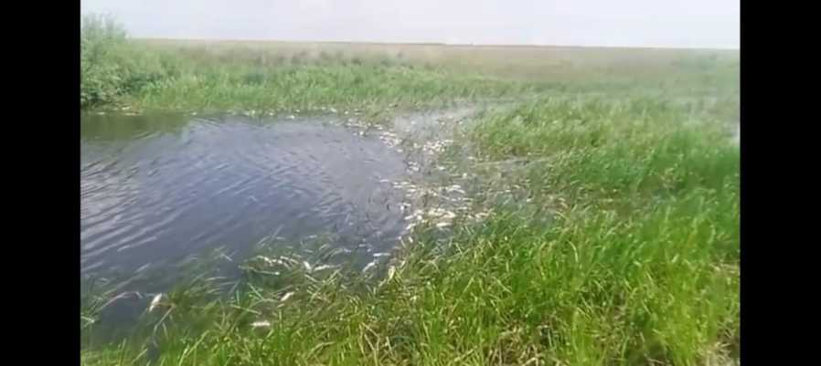 194b9b29-ab35-41db-9007-749c3c72bbce