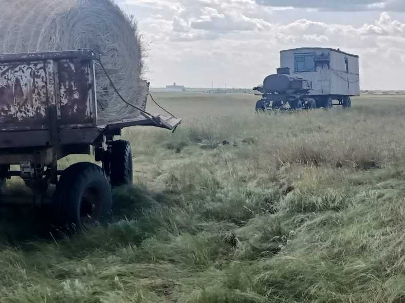 50981683-fd8f-4a0d-bdd3-1d56611a31fe