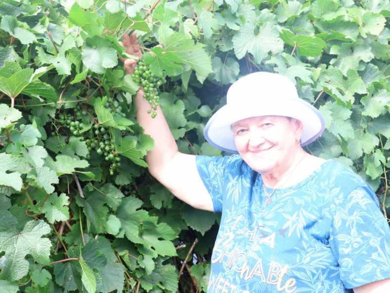 524c63fe-19a4-4988-84be-bf74d3e947a9