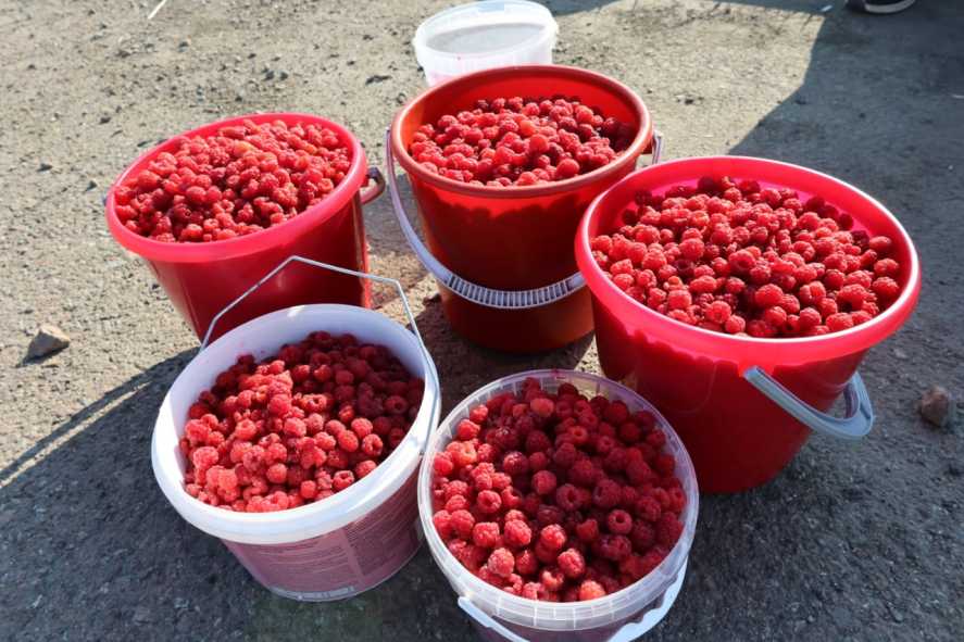 547f2565-3be9-4e0f-8f45-5d2a5262df56