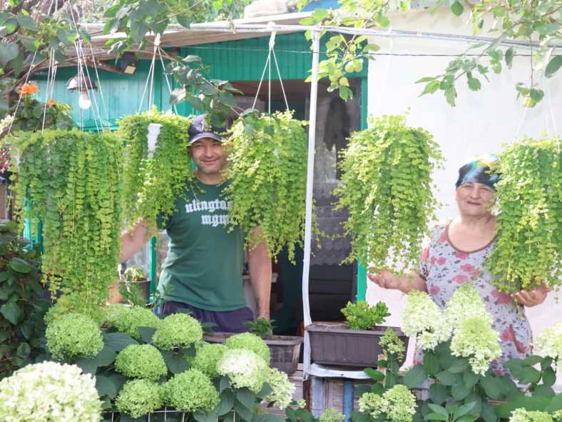 76d52143-cf4a-4a2f-a4d1-2419756499f4