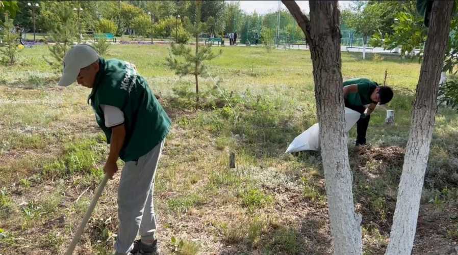 afb441e8-ba3d-4e37-aee8-ea3f7773b84c