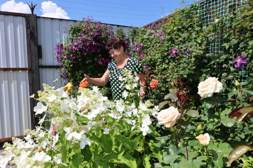 50b4d0a9-0f53-4cdd-ae5b-087ecd775c4c