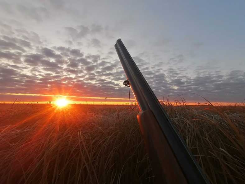 ad9bea86-269a-4320-b123-f659dc19f075