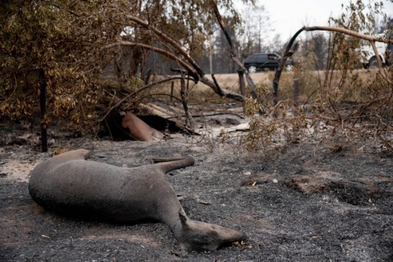 b6481763-6eb0-4f26-af7c-4a3d019fa478