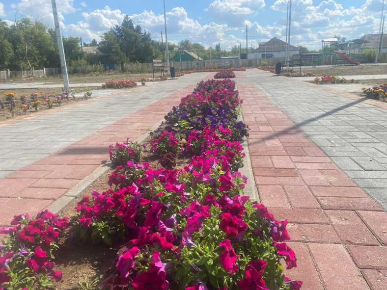 e46b6160-9e51-4c1d-a593-8b71a491c685