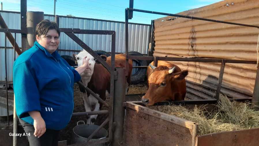 eceecdda-5948-41dd-be9a-879a51e4fc30