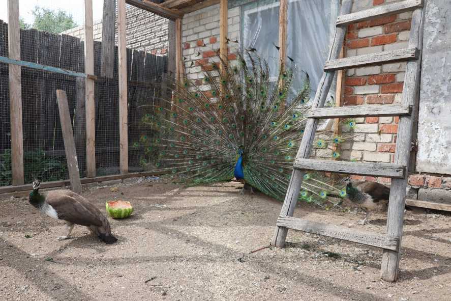 WhatsApp Image 2025-08-22 at 09.46.26