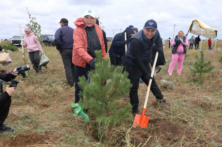 0c245a8a-8b6d-43a2-ad40-19cdeac7bf9d