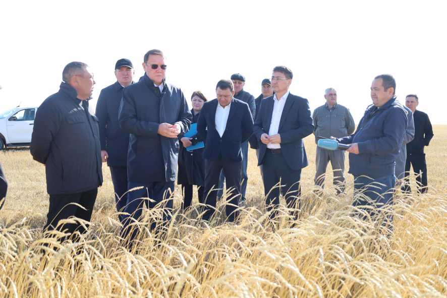 0e0d8576-ce81-4e4d-98de-3a7e4ba7caf0