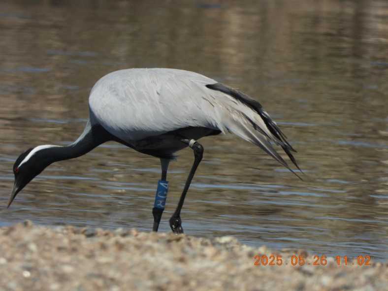 100b654d-74d3-4411-b095-883026e33940