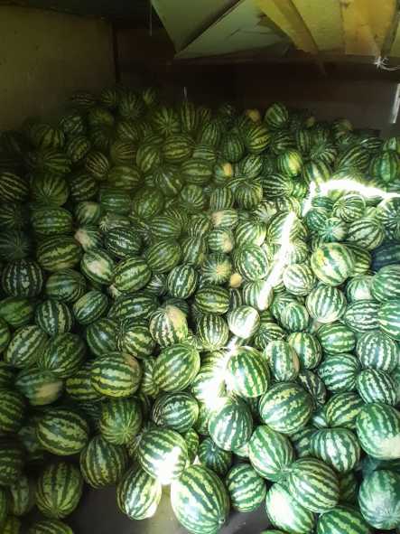 135bda7e-df29-401e-81e5-a7a1a1268a10