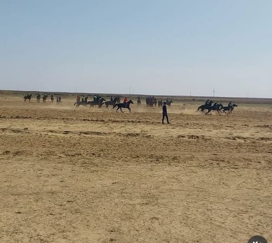 6b3c2238-33dc-4103-8059-d259f552aa75