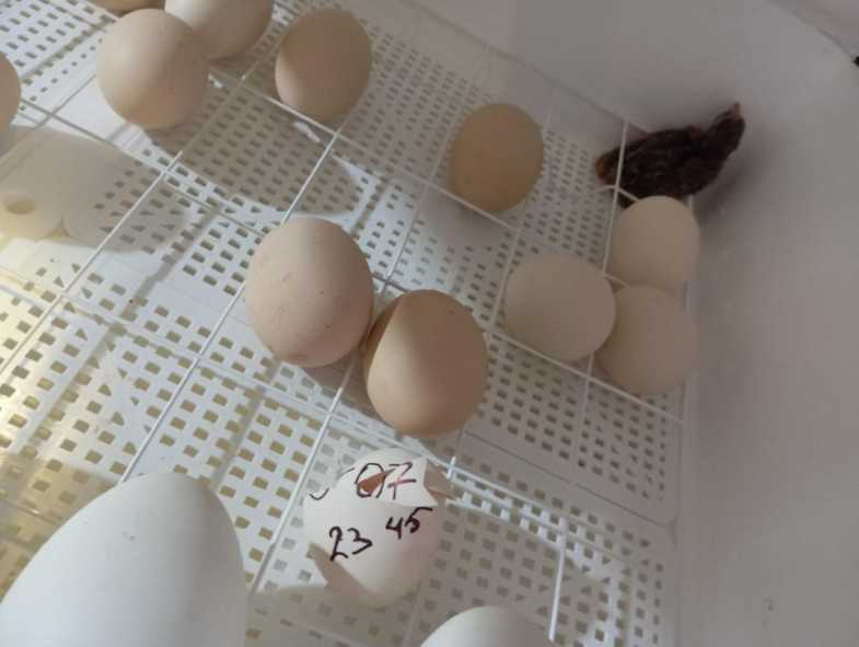 bc7e2cfe-7302-414e-8a50-f41196144c67