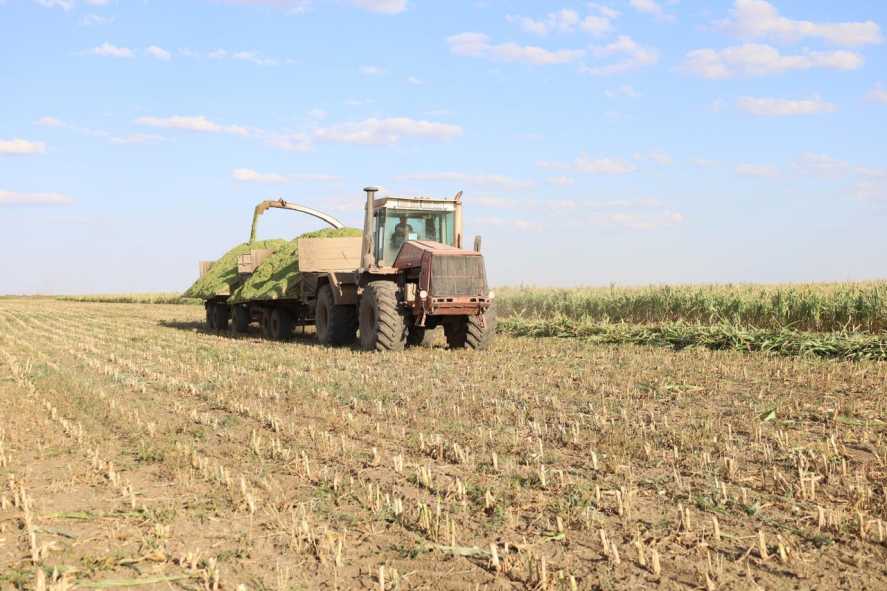 WhatsApp Image 2025-09-05 at 11.34.51_76fea1ae