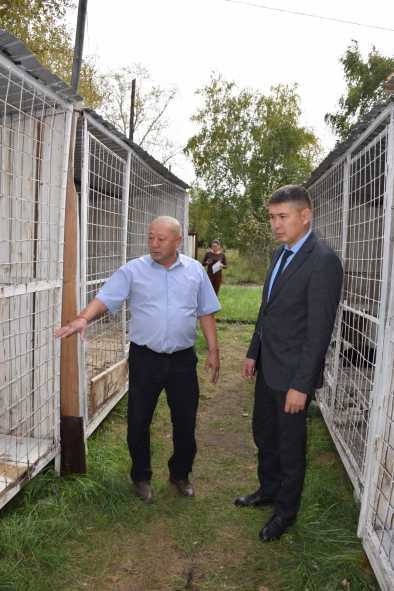 WhatsApp Image 2025-09-09 at 12.43.39 (1)