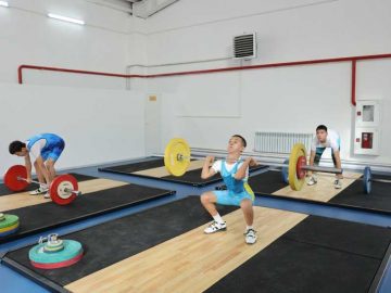 31b858d7-2a45-48c2-b8f8-9b6bab9d7a39