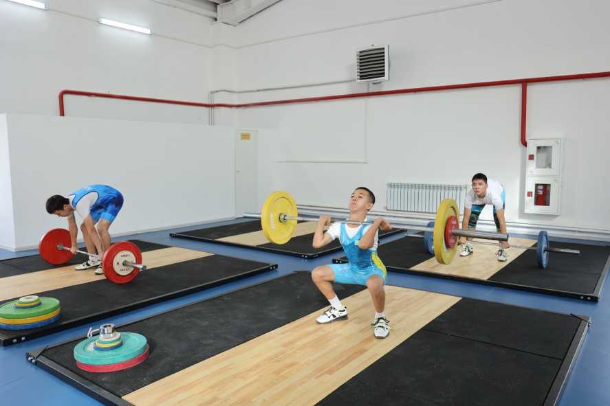 31b858d7-2a45-48c2-b8f8-9b6bab9d7a39