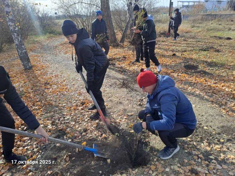 5a1d5ece-441c-4c79-b761-4bf53506565d