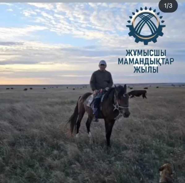 8fa9f117-dd3b-4b03-a1e9-81851477f66f