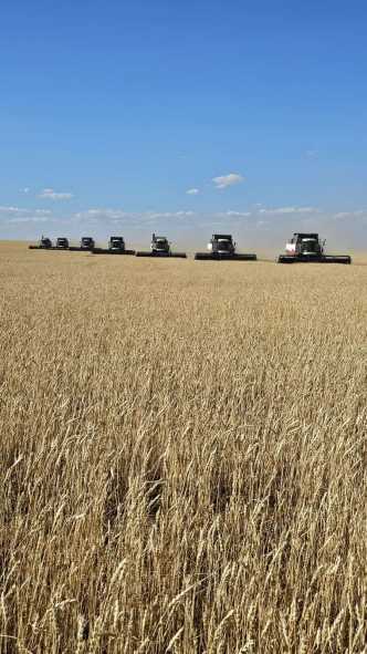 9f6d9d82-94b6-47f0-ae8b-4a6c61ad4732