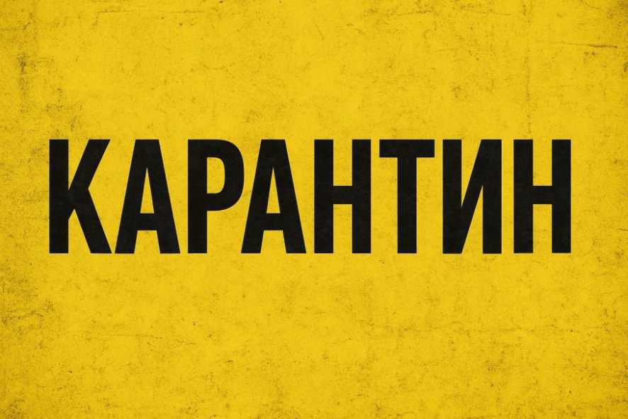 file_00000000dc087208bd2101796ba4e7a7