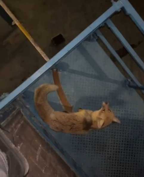 screenshot_20251108_164846_gallery-810×992