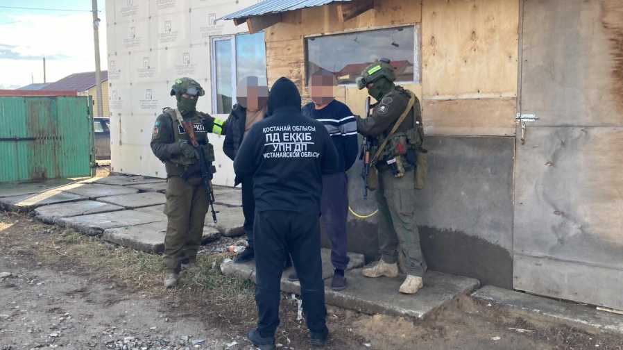 WhatsApp Image 2025-11-14 at 10.17.09