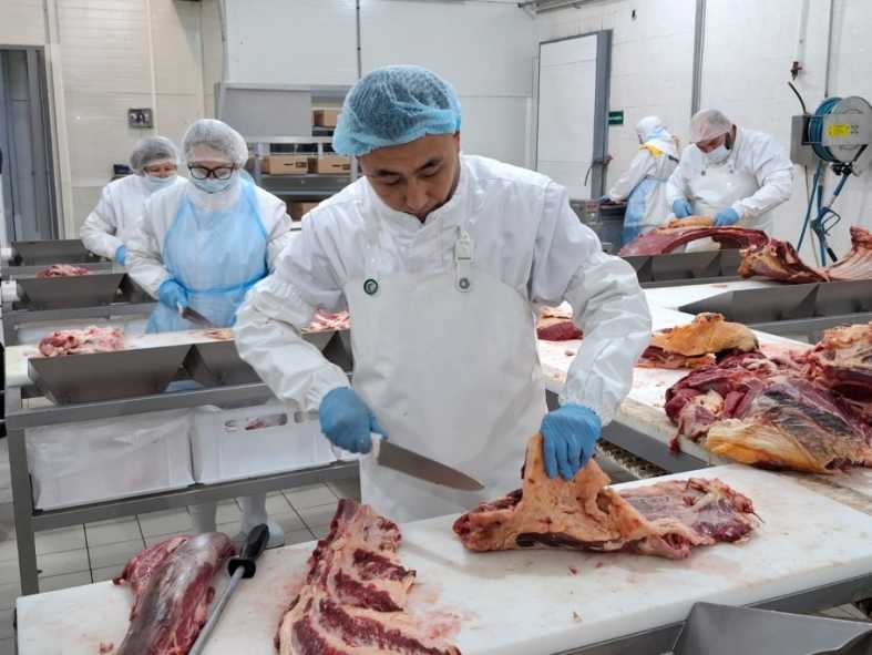 whatsapp-image-2025-11-14-at-10.29.45-1