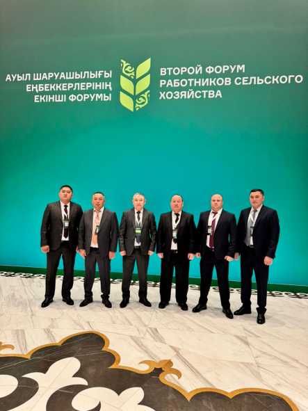 WhatsApp Image 2025-11-17 at 11.50.46