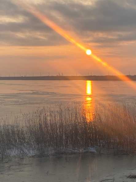 WhatsApp Image 2025-11-24 at 16.11.41