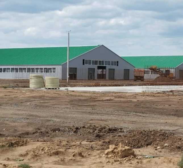 WhatsApp Image 2025-11-27 at 12.09.12