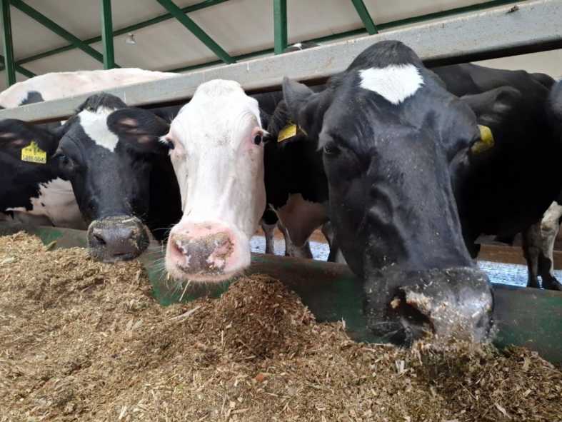 whatsapp-image-2025-11-25-at-13.10.28-2