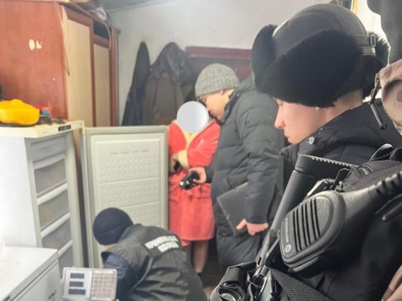 WhatsApp Image 2026-02-13 at 11.15.02 (1)