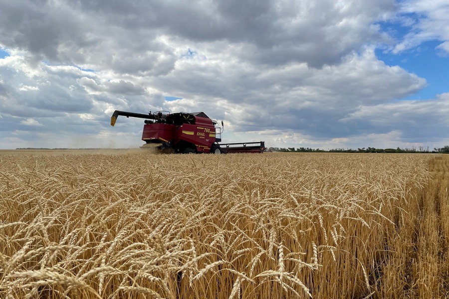 WhatsApp Image 2026-03-12 at 12.38.55