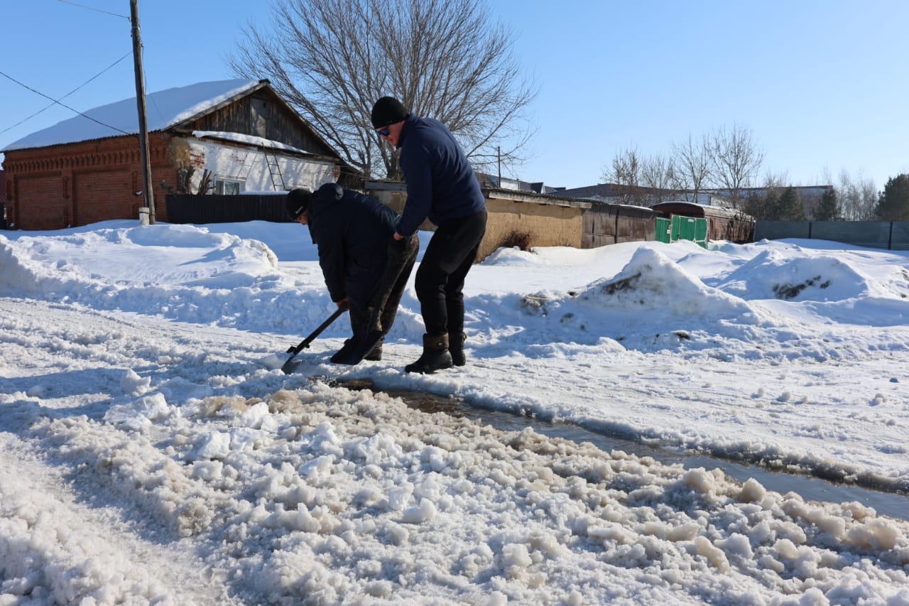 WhatsApp Image 2026-03-17 at 13.02.29