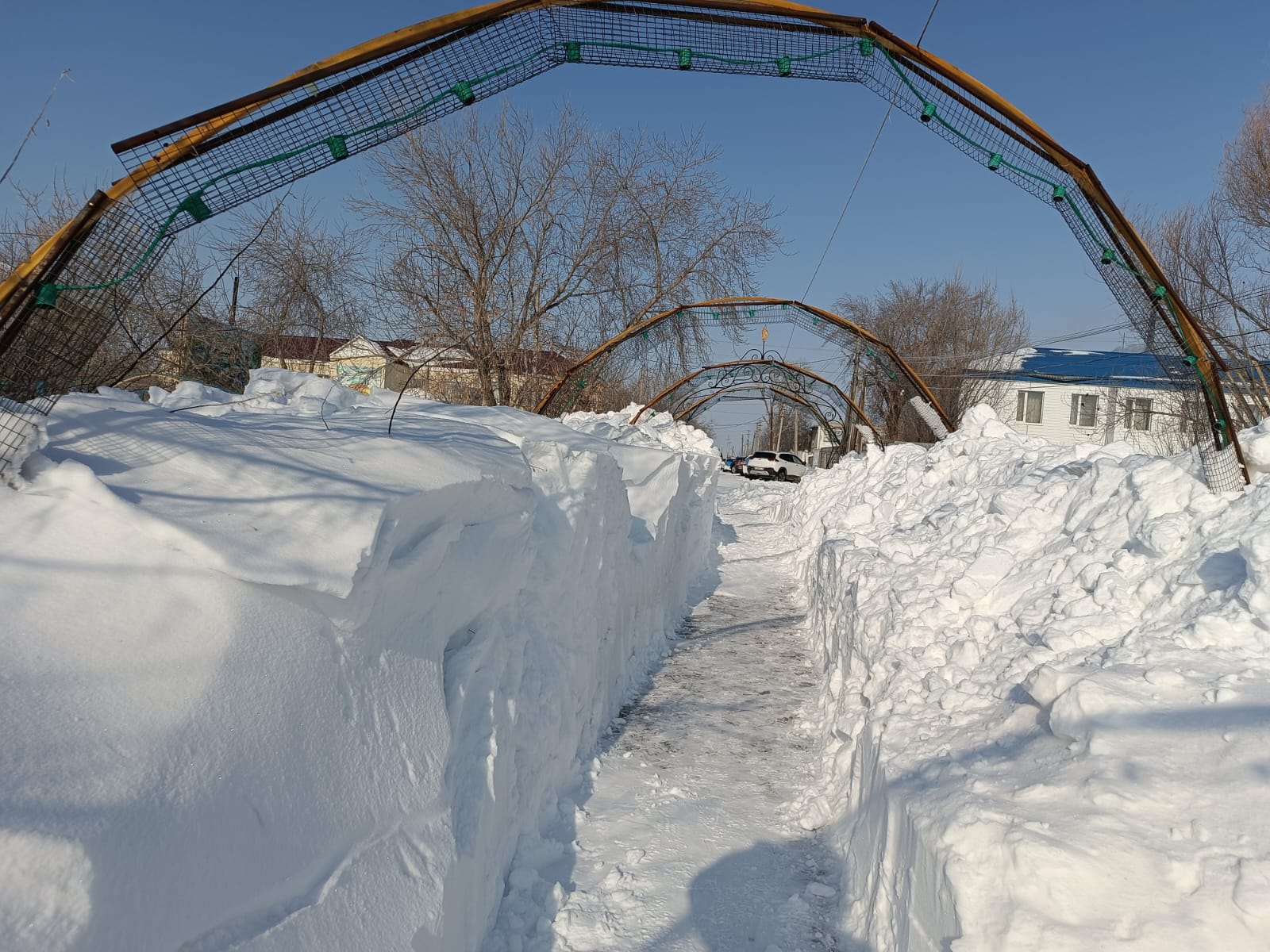 WhatsApp Image 2026-03-17 at 15.18.47