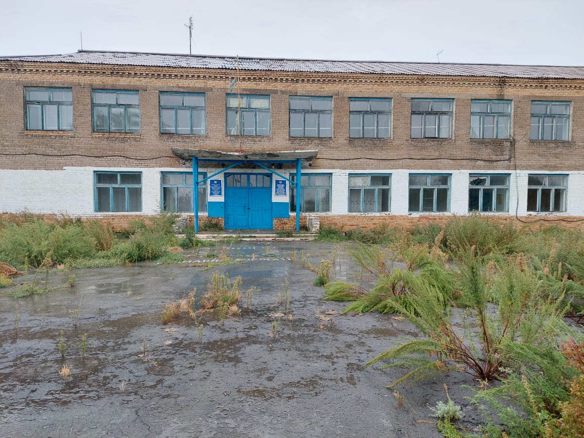 WhatsApp Image 2026-03-18 at 15.50.58