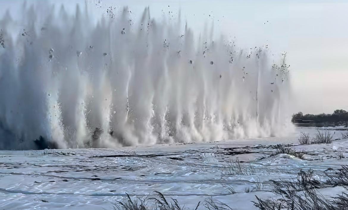 WhatsApp Image 2026-03-19 at 15.03.22