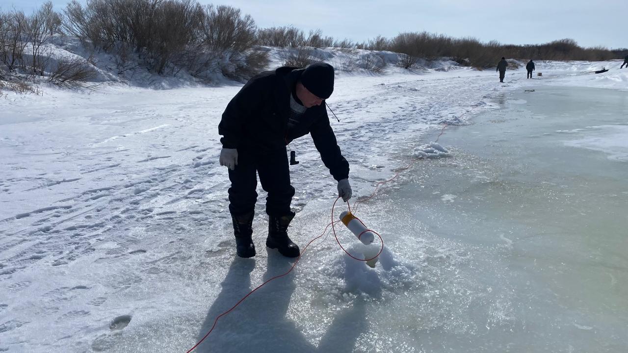 WhatsApp Image 2026-03-26 at 11.16.07