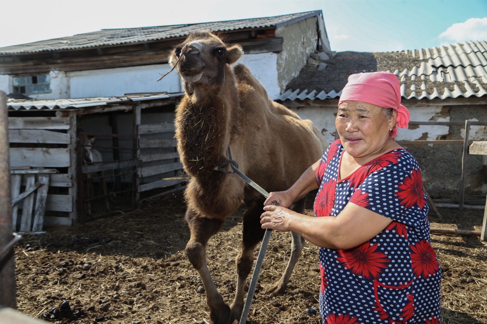 WhatsApp Image 2026-03-27 at 09.44.34