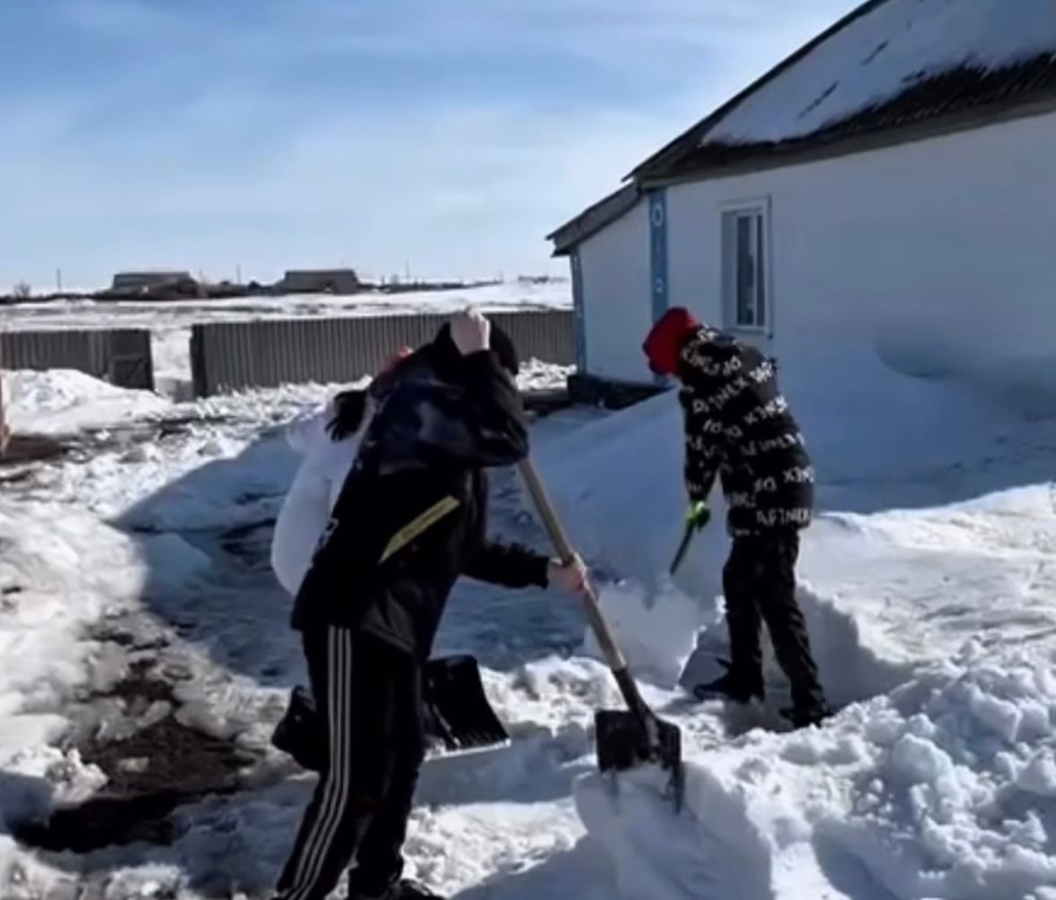 WhatsApp Image 2026-03-27 at 14.33.37 (2)