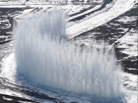 WhatsApp Image 2026-03-30 at 11.41.27