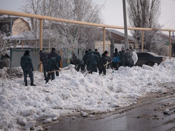 WhatsApp Image 2026-04-03 at 15.04.18