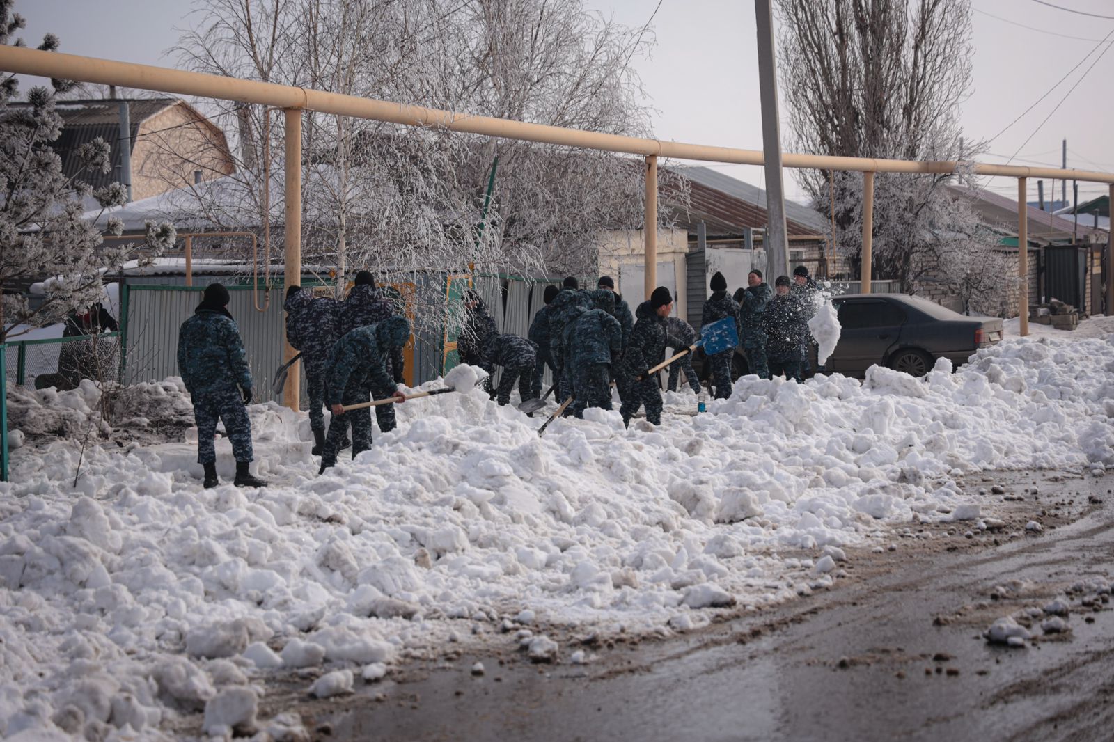 WhatsApp Image 2026-04-03 at 15.04.18