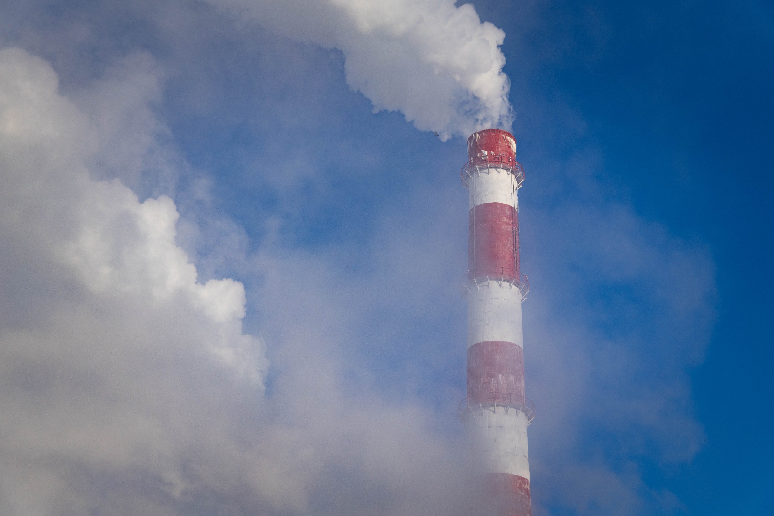 WhatsApp Image 2026-04-07 at 15.35.49